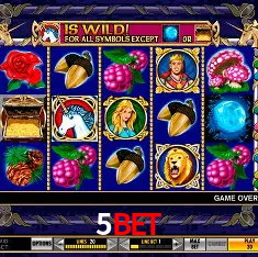 5bet Rio de Janeiro - Bonus Terms